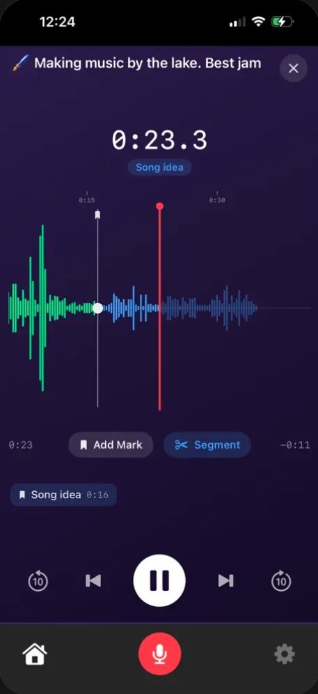 Fullscreen waveform with chapter marks